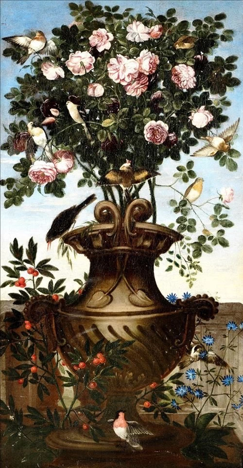 Orsola Caccia-106-Un albero ornamentale in un'urna drappeggiato nella gloria mattutina